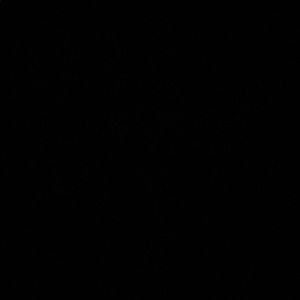 Meet your Posher, Daryl